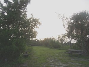 Sanibel Gulfside Park picnic tables