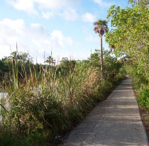 Rabbit Road section of Sanibel Island Bike Trail